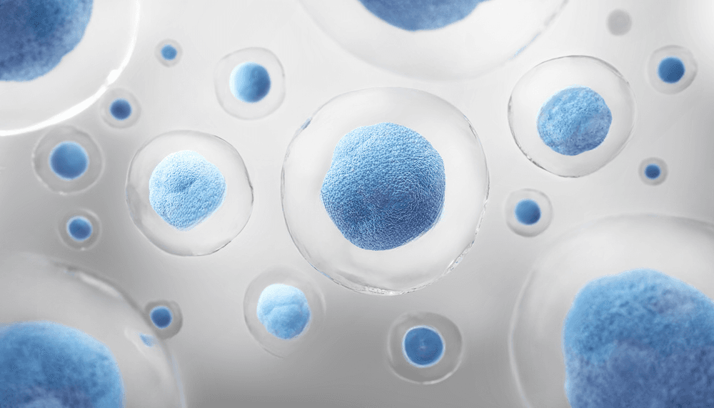 Spor Yatkınlık Testi