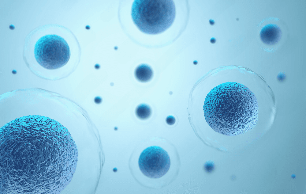 İlaç Uyumluluk Testi